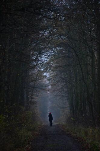 Foto od Vaška Konráda